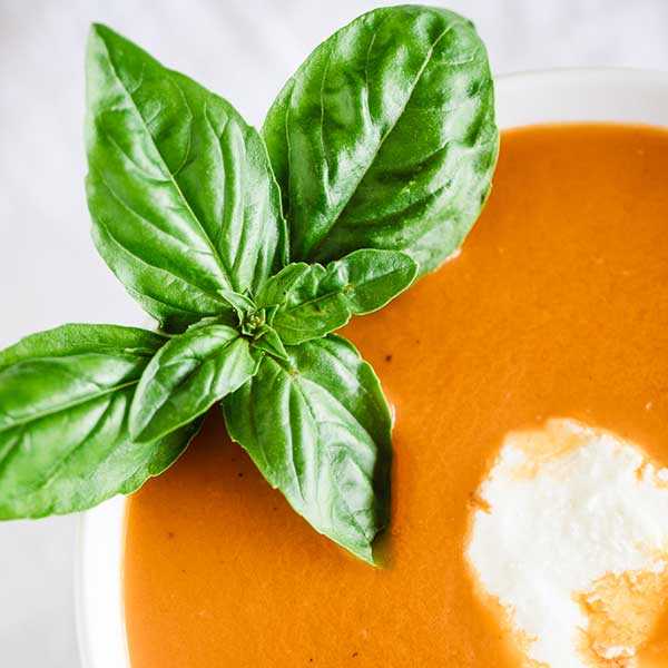 Recipe for Slow Cooker Tomato Basil Soup