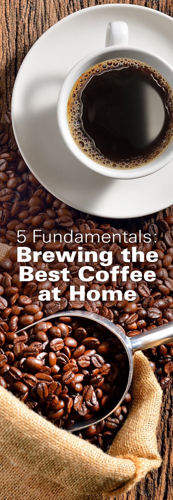 Best coffee 2025 for home brewing