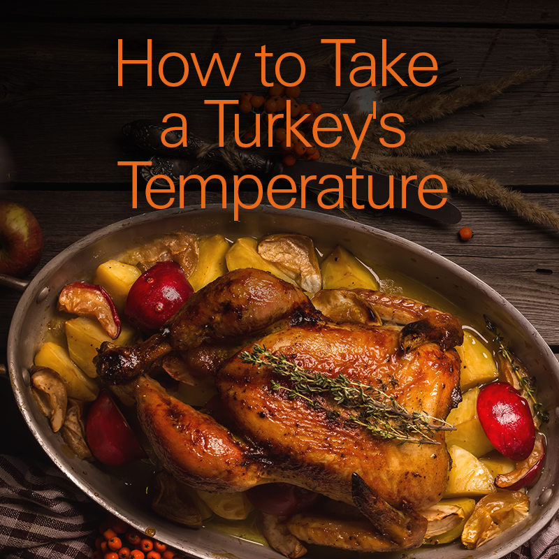 The Total Turkey Guide How to Take a Turkey's Temperature