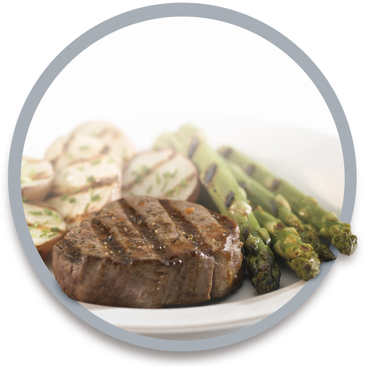 Hamilton Beach Steak Lover's™ Indoor Grill - 25331