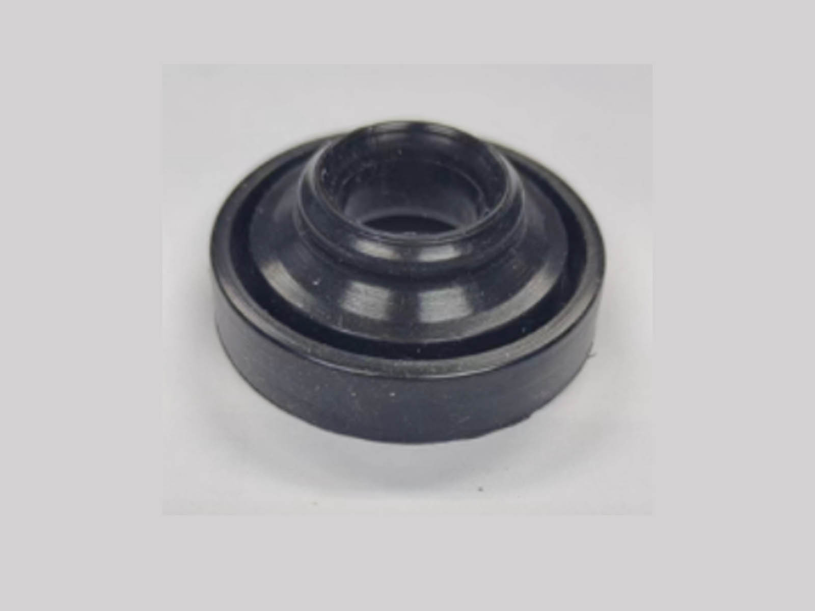 Motor Seal   Commercial Blenders