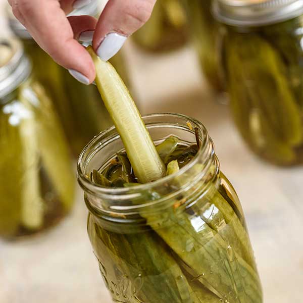 Recipe - Quick and Easy Dill Pickles