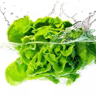 Blog for Food Focus: How to Clean and Store Lettuce
