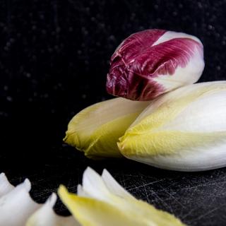 Blog for Food Focus: Types of Lettuce