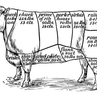 Blog for Understanding Cuts of Beef