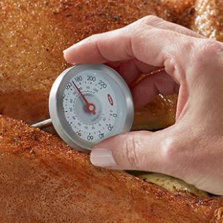 Blog for How to take a turkey's temperature
